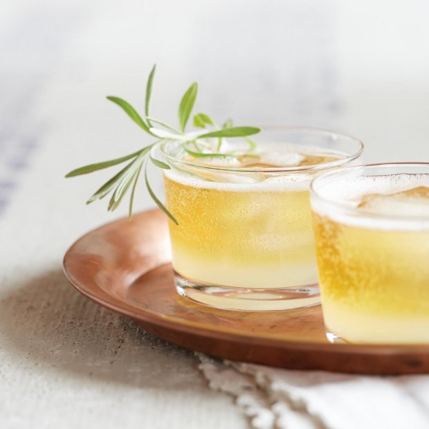 Gin-ger Beer Cocktail